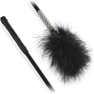 Велике елегантне перо, прикрашене діамантами - 76769518