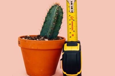 Збільшення пеніса – який метод є найбільш ефективним?